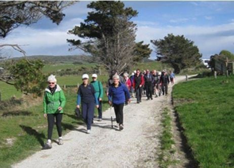 image-2120598-walking_group.jpg